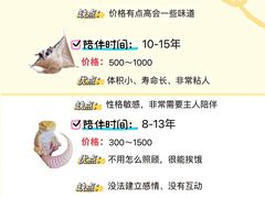 -翊宠yipet猫狗购宠庄园犬舍•猫舍