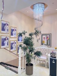 -紫洁俪方（北京）医疗美容