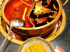 -镇江龙·火锅串串(武侯祠店)