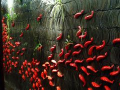 -星巴克臻选(成都宽窄巷子店)