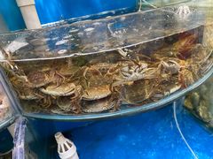 -仙螺岛海鲜自助餐厅(总店)