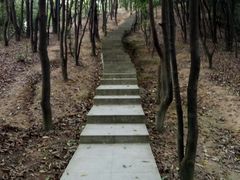 -火炉山森林公园