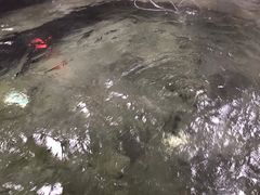 -杭州第一世界大酒店·云曼温泉