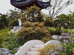 -上海滨江森林公园
