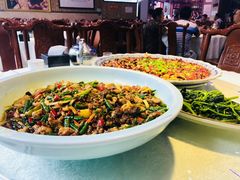 -新概念来凤鱼(璧山店)