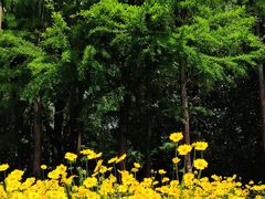 -同里国家湿地公园