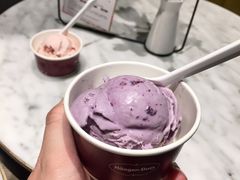 -哈根达斯(石家庄北国店)
