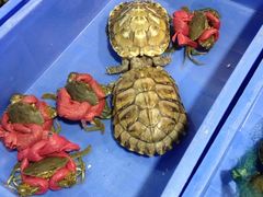 iphone_upload_pic-华润万家(龙华天虹购物中心店)