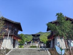 -大唐贡茶院