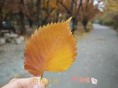 -国家植物园南园