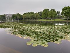 -院士公园