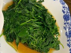 酒香金花菜-协和菜馆(凤凰街店)