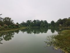 -桤木河湿地公园