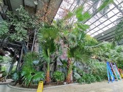 -江天生态园餐厅