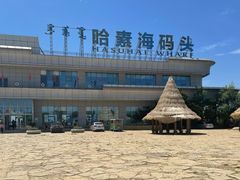 -哈素海