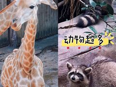 -长鹿旅游休博园