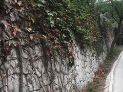 -原山国家森林公园