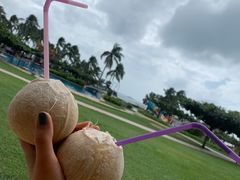 -三亚亚龙湾天域度假酒店