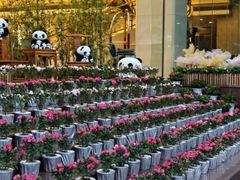 -成都绿洲大酒店(春熙路太古里店)