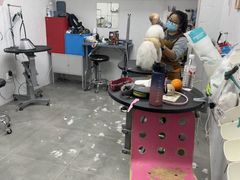 -瑞鹏宠物医院·眼科·皮肤·中兽医(大悦城分院)