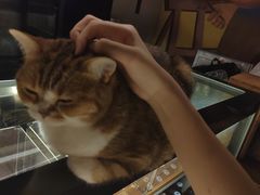 -咖法森林·咖啡  酒吧(天河店)