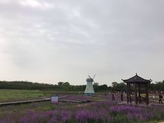 -武汉紫薇都市田园