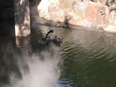 -水绘园