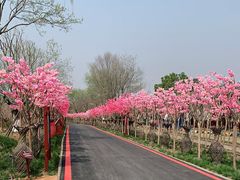 -武汉紫薇都市田园