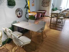 -Husky Go! 哈士奇体验馆·宠物咖啡厅狗咖