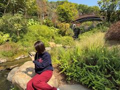 -云溪植物园
