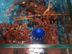 -阿伟海鲜楼·福建菜(延寿店)