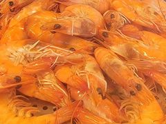 -视界美食自助餐厅·石家庄希尔顿酒店