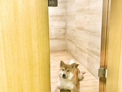 -Double Rui宠物酒店