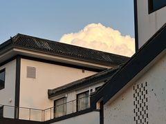 -陈麻婆豆腐(旗舰店)