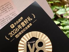 -重庆市江北嘴中央商务区中央公园