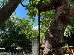 -潭柘寺景区