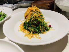巧拌豆苗-四季民福烤鸭店(马连道店)