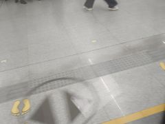 -留仙洞(地铁站)