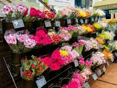 -优衣库(深圳万象天地旗舰店)