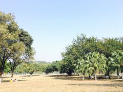 -东莞植物园