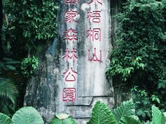 -梧桐山风景名胜区