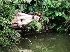 -三里河公园