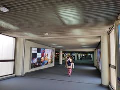 -王权免税店(廊曼机场店)