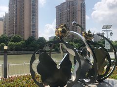 -陈家山荷花公园