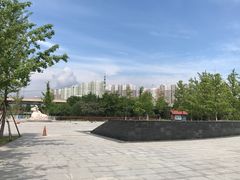 -永定河休闲森林公园