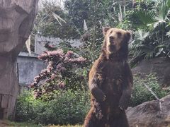 -海南热带野生动植物园