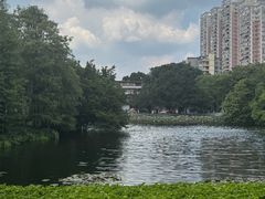 -荔湾湖公园