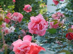 -人民公园(罗湖区)