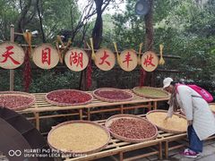 -天目湖山水园