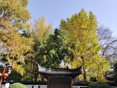 -郑和公园